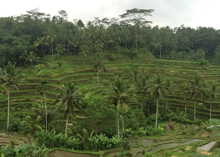 Pangkung House