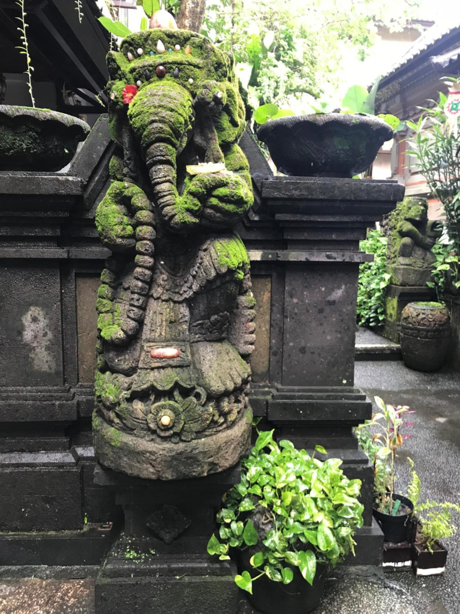 Pangkung House Ubud (Bali)