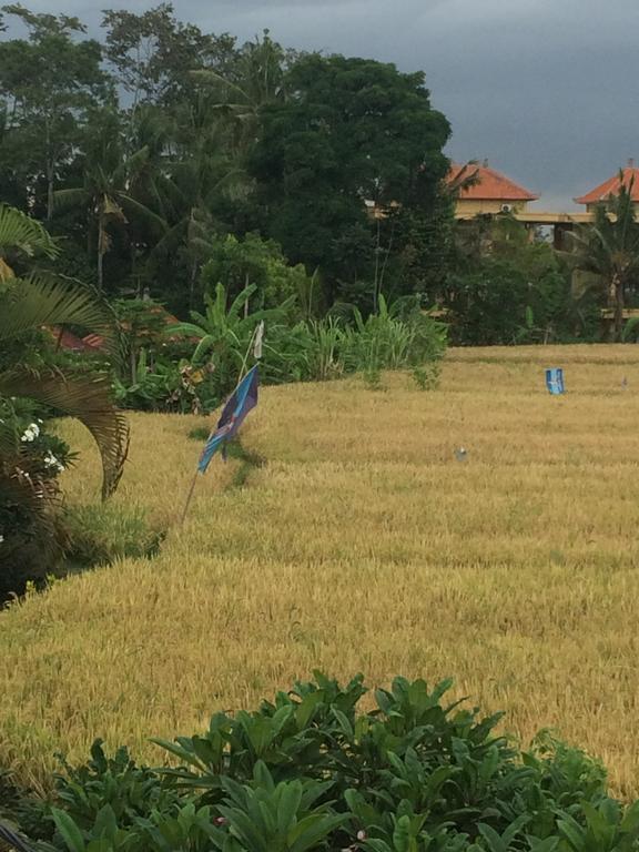 Pangkung House Ubud (Bali)